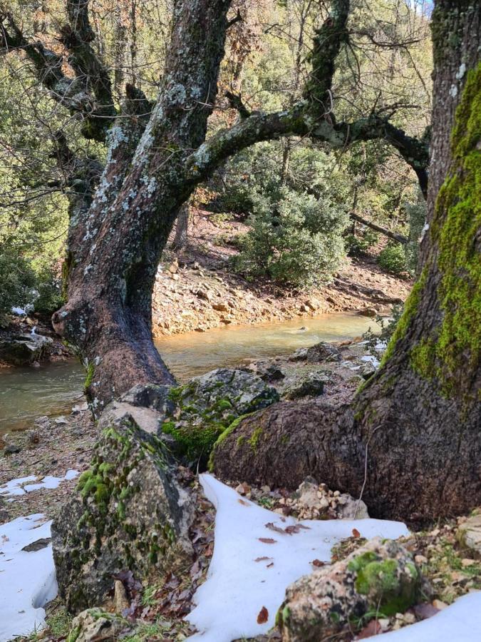 La Pommeraie D'Ifrane Ifrane  Luaran gambar