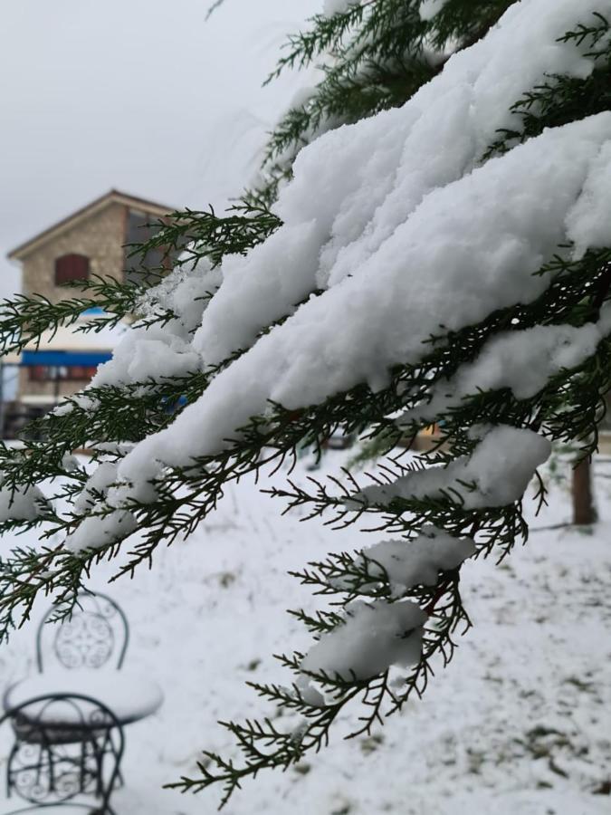 La Pommeraie D'Ifrane Ifrane  Luaran gambar
