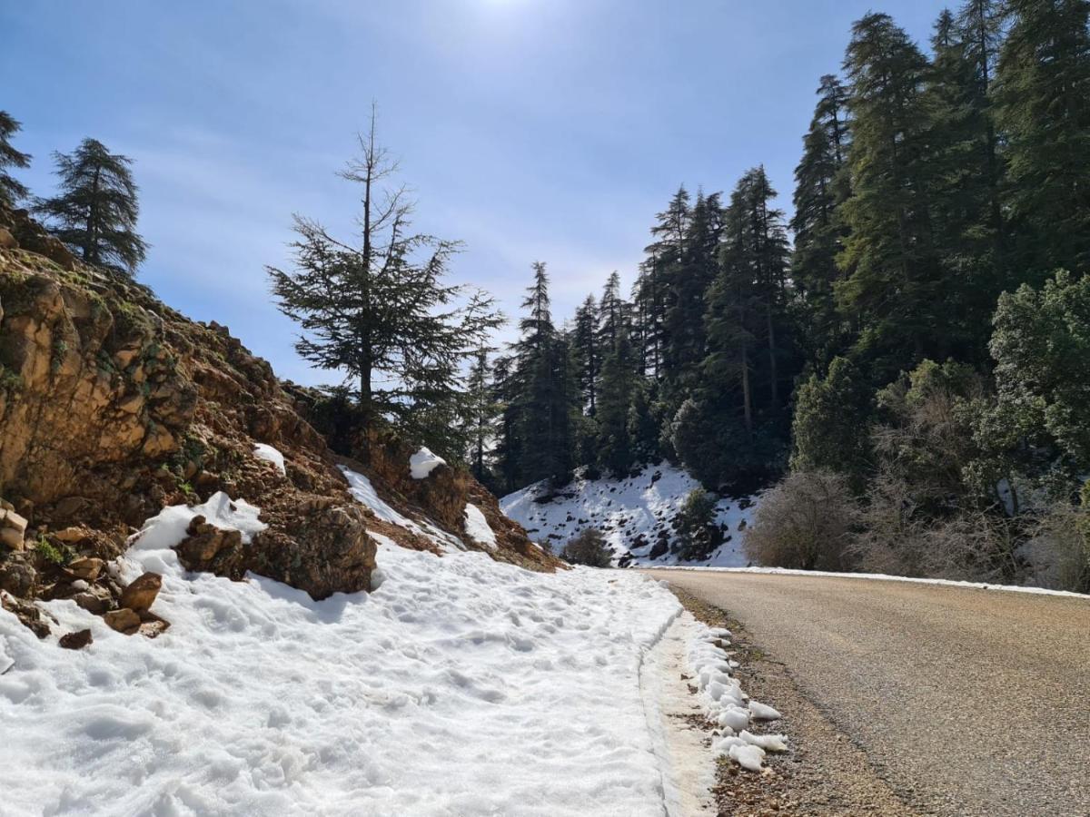 La Pommeraie D'Ifrane Ifrane  Luaran gambar
