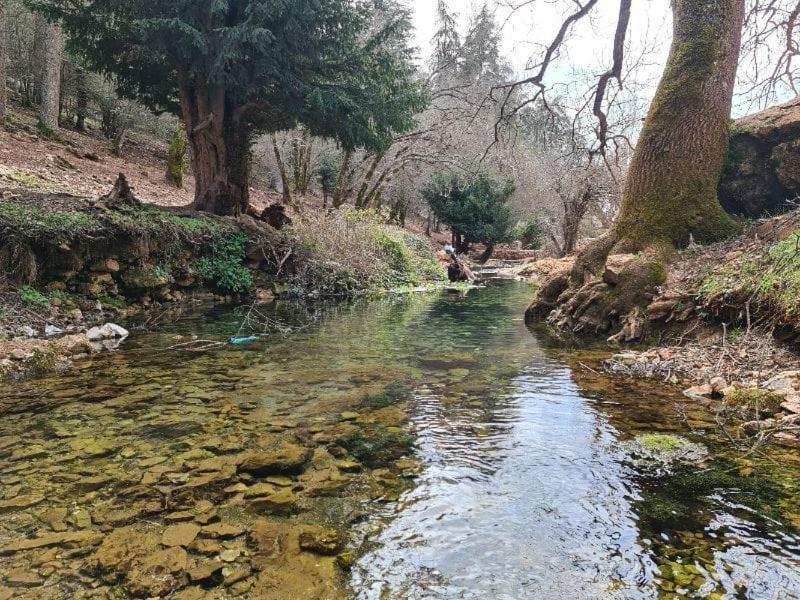 La Pommeraie D'Ifrane Ifrane  Luaran gambar