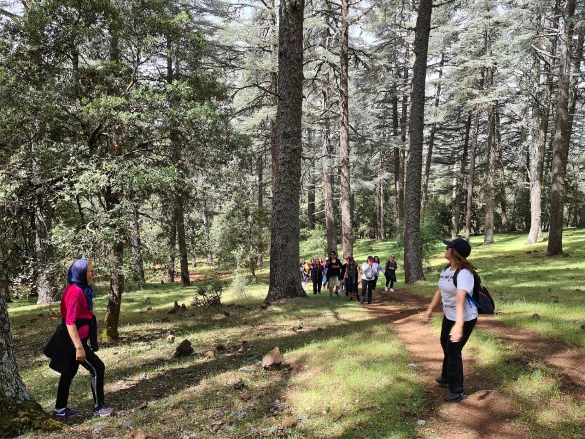 La Pommeraie D'Ifrane Ifrane  Luaran gambar